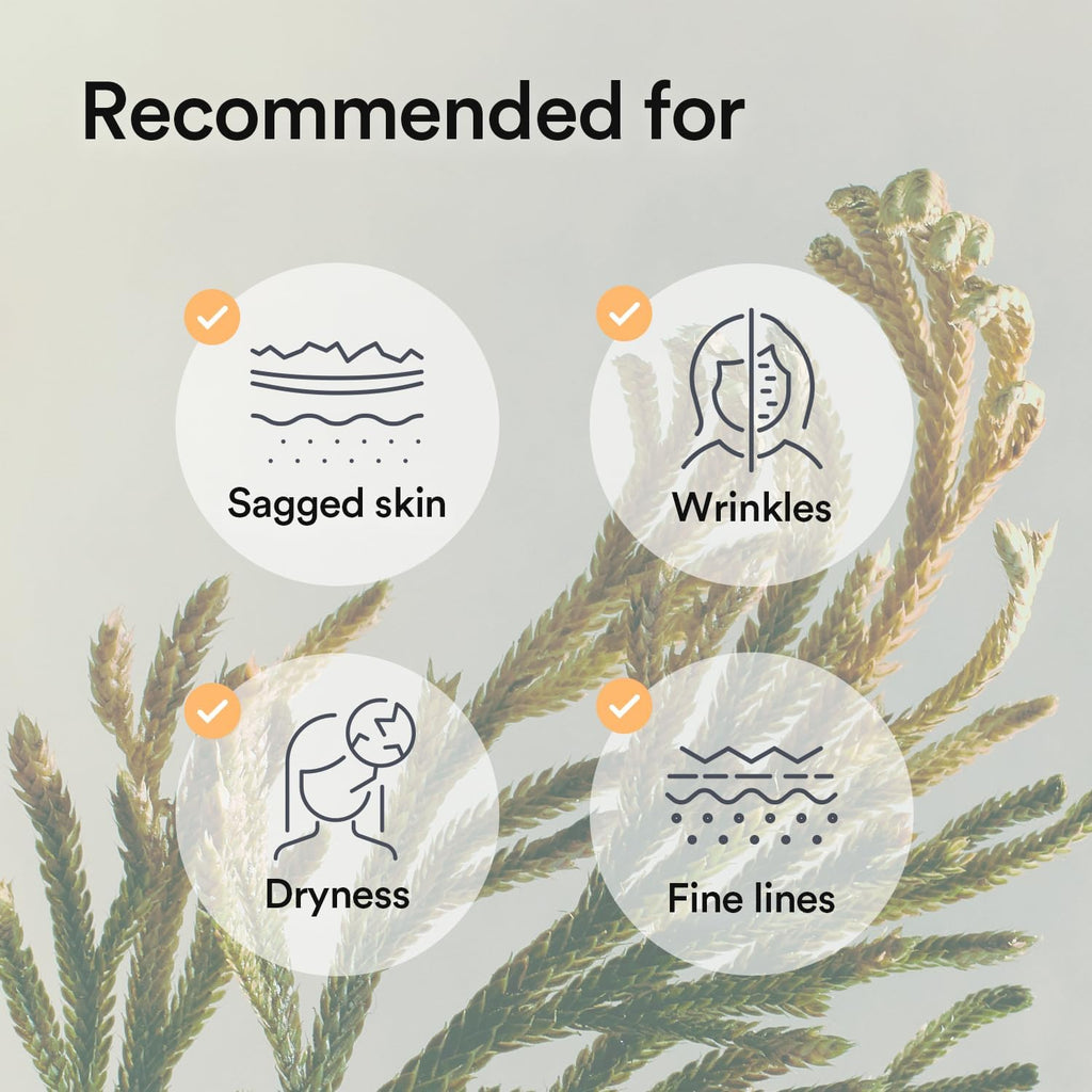 Abib Collagen Gel Mask Jericho Rose Jelly – Hydrating & Firming Hydrogel Sheet Mask (10 Sheets)