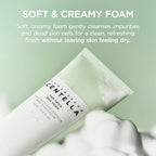SKIN1004 Madagascar Centella Tea-Trica BHA Foam 125ml | Gentle Pore Cleansing Face Wash for Oily & Acne-Prone Skin