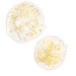 The Ordinary Caffeine Solution 5% + EGCG 30ml